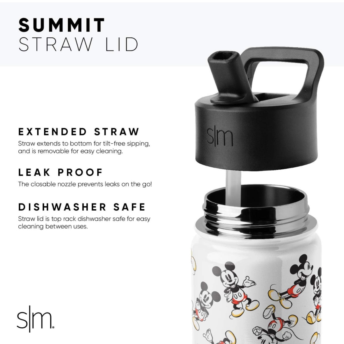 Simple Modern Water Bottle - Wish