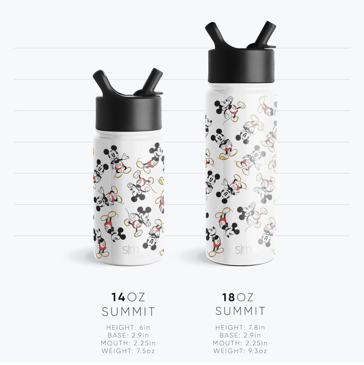 Simple Modern Water Bottle - Wish