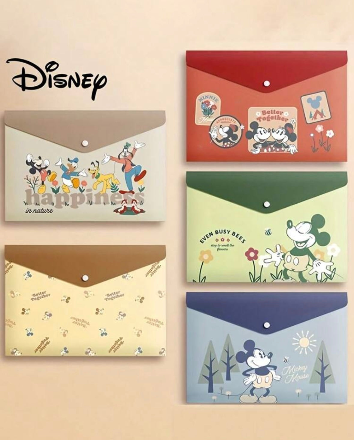 Transparent Plastic Files - Disney Happiness