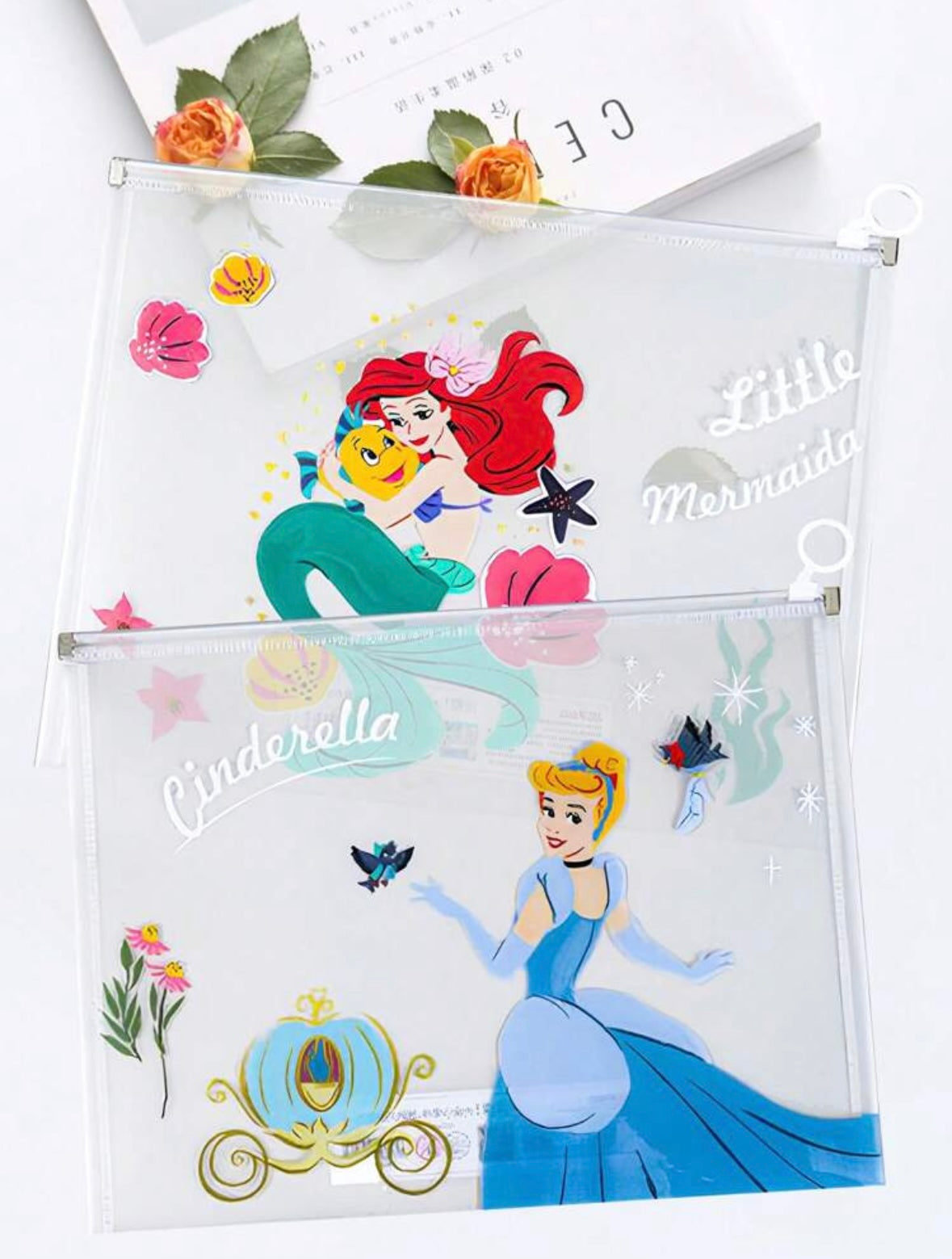 Transparent Files/Bags (A4) - Disney Princesses