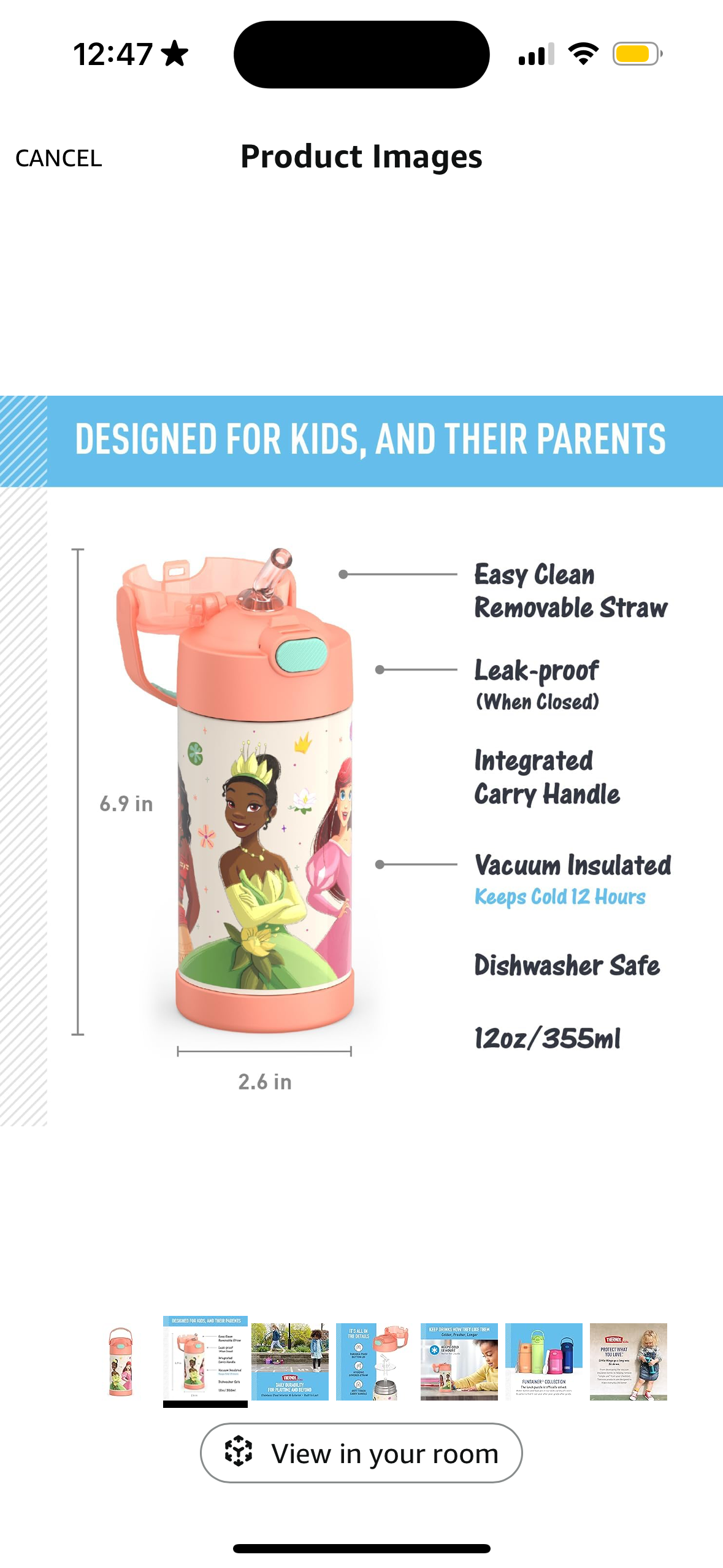 Thermos Water Bottle - Princesses