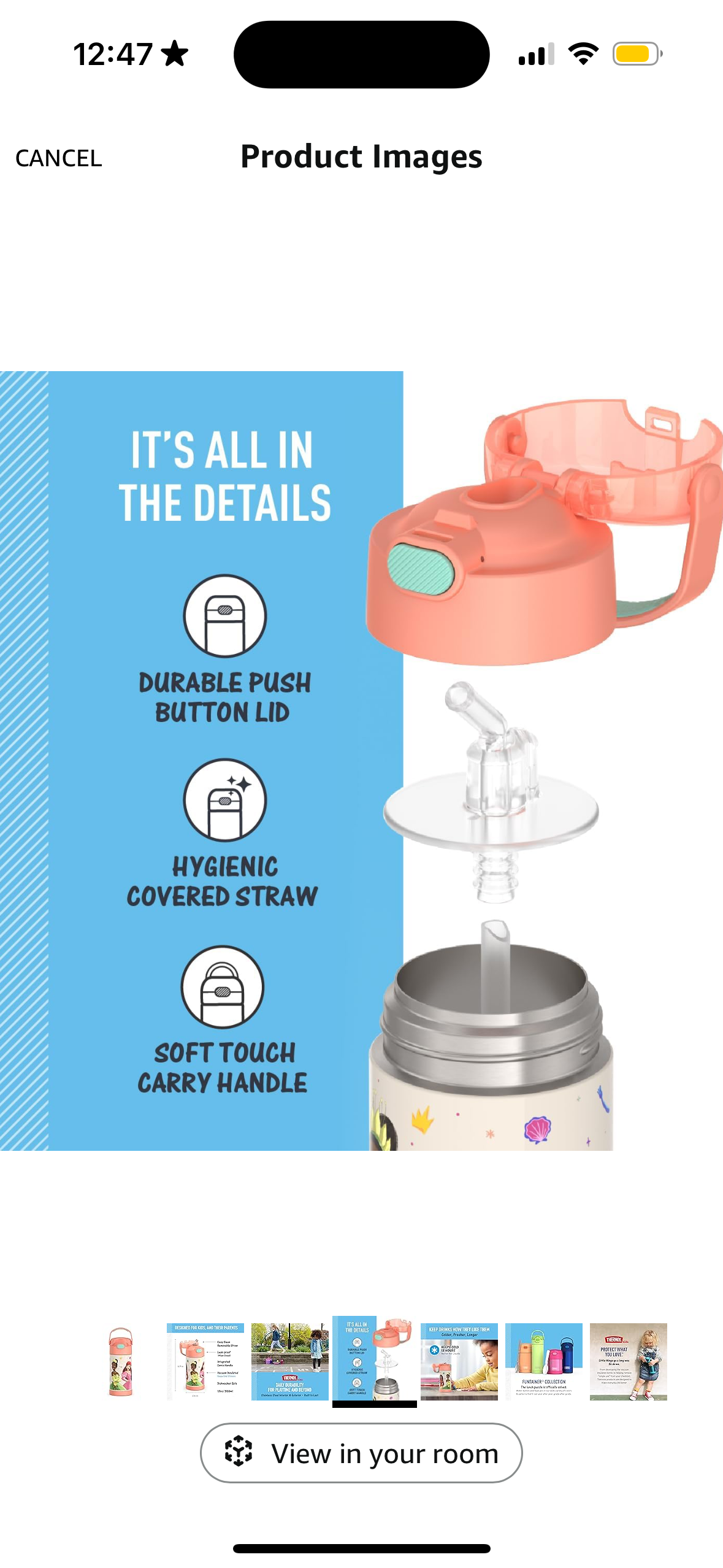 Thermos Water Bottle - Princesses