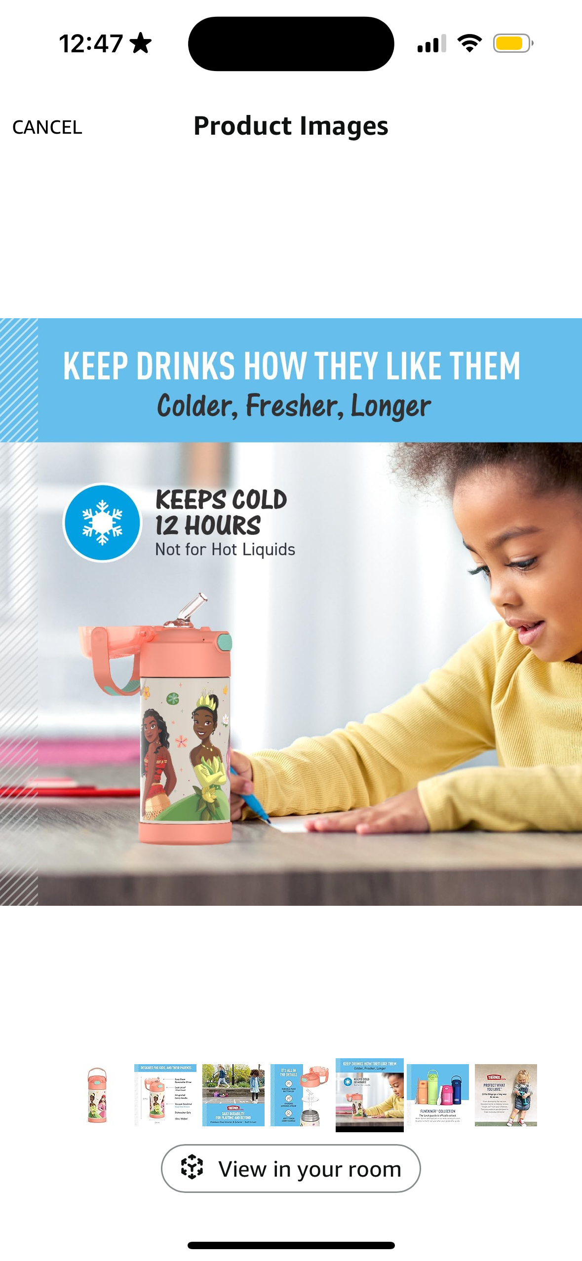 Thermos Water Bottle - Princesses