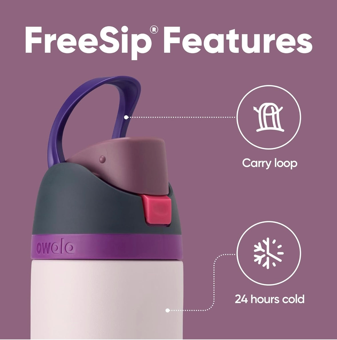 Owala FreeSip Bottle - Dreamy Field