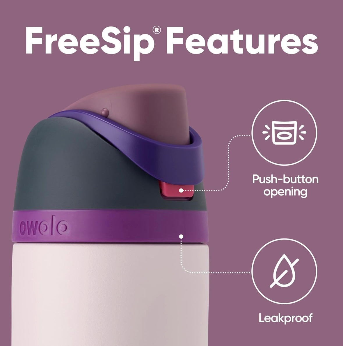 Owala FreeSip Bottle - Dreamy Field