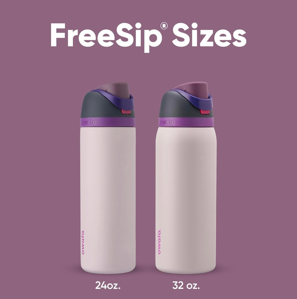 Owala FreeSip Bottle - Dreamy Field