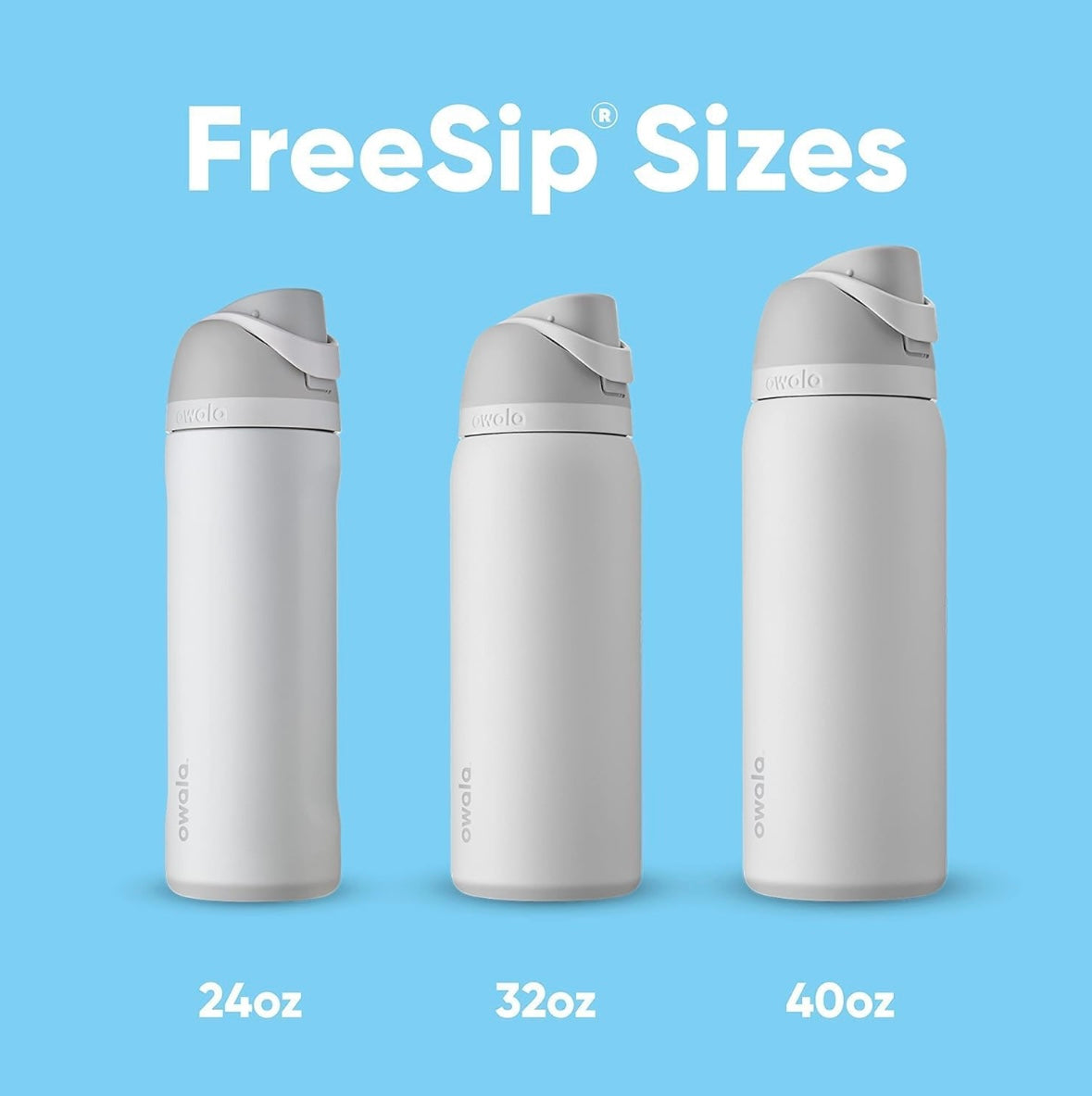Owala FreeSip Bottle - Surfs Edge