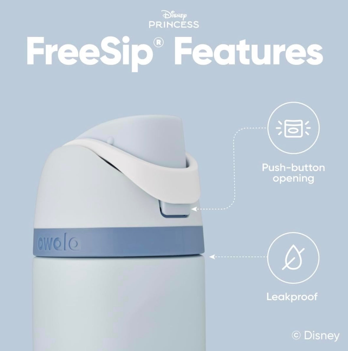 Owala FreeSip Bottle - Cinderella (Disney Princess)