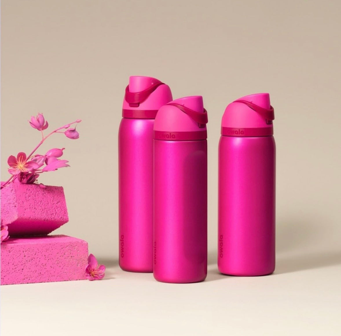 Owala FreeSip Bottle - Read My Lips